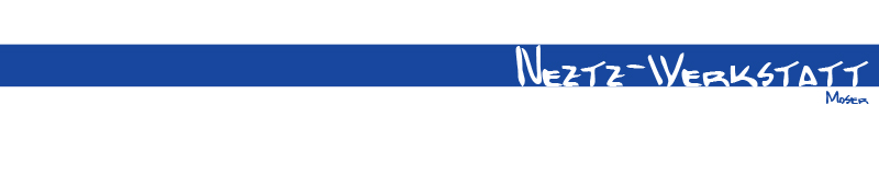 Logo Netz-Werkstatt Curth & Moser